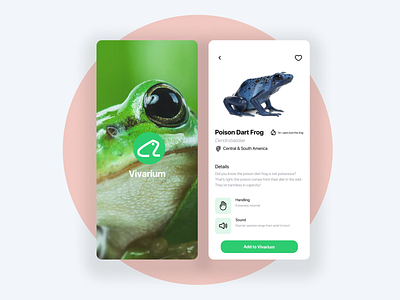 Frog eat frog 🐸 - Vivarium building app dartfrog design frog mobile plant poisondartfrog productdesign spacing ux