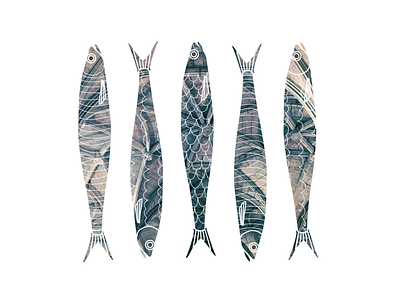 Sardinas illustration sardine sardines