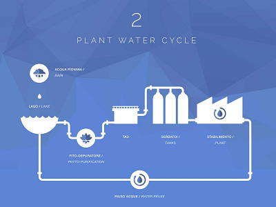 Plant Water Cycle blue icons illustration infodesign infographic plant water