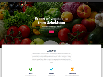 Site design for ekofrukt.uz