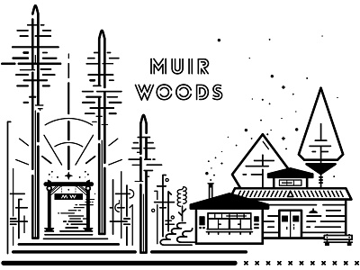 Muir Woods black and white california forest illustrated illustration illustrator line muir woods smoke trees work
