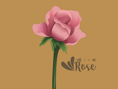 Rose Flower Vector art design flat flower flower illustration illustration nature rose vector