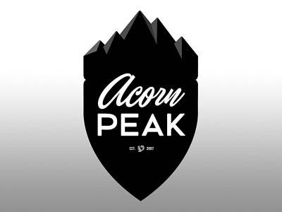 Acorn Peak logo concept branding logo typography