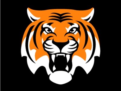 Bengals brand and identity logo logodesign sports sports brand