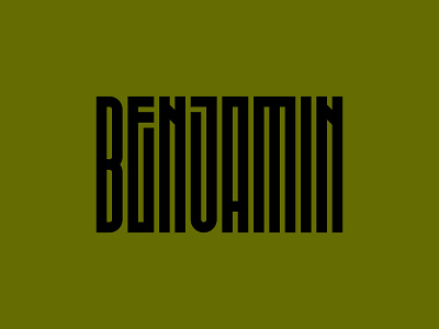 Benjamin design graphic design icon illustration lettering type type design typography vector