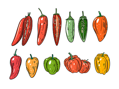 Peppers cartoon chili cute green hot illustration orange pepper red set sketch yellow