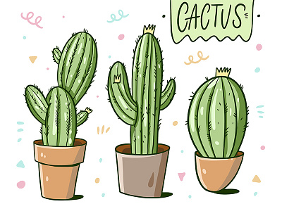 Cactus