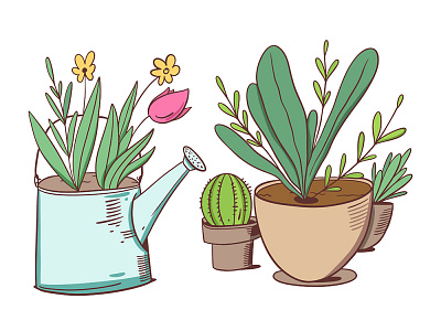 Home plant in a pot cacti cactus cartoon cute flower green home illustration plant pot sketch vector