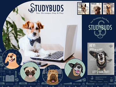 StudyBuds, On-Campus Stay & Play branding graphic design illustration logo patterns
