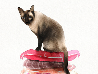 siamese cat graphic graphic design