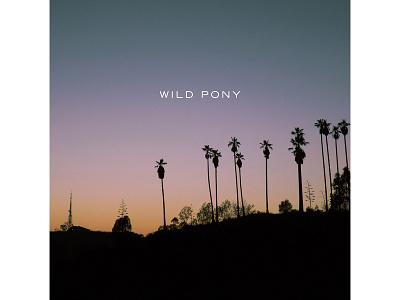 Wild Pony art direction clean design god i hate hashtags minimal music packaging typography wild pony