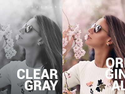 Clear Gray Photoshop Action best campaign clear gray clear gray photoshop action deal design discount graphic design photo effect photographers photography photoshop action