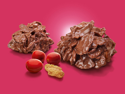 Choco Flakes Cranberry chocolate coated flakes cranberries illustration