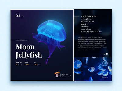 Jellyfish exploration glowy jellyfish landing sealife serif ui web