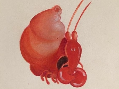 Crab illustration