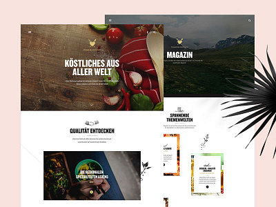 Interface - IWI clean design food illustration interface platform website