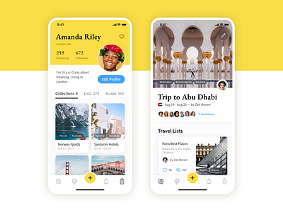 Travel App Concept app clean details icon inspiration interface iphone layout mobile profile travel trip ui ux