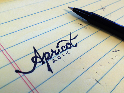 Jam Labels apricot hand drawn hand lettering jam label lettering typography