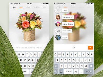 Bloomthat iPhone App — Sending