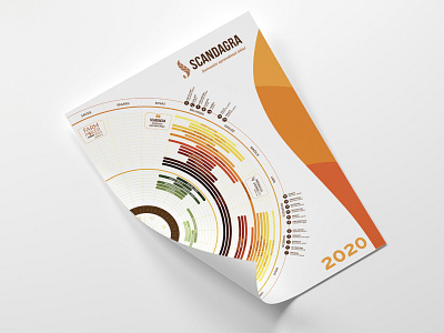 Scandagra | INFOGRAPHIC CALENDAR calendar data design illustration infographic