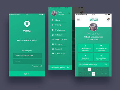 If WAG! were designed by me. app app concept app design dog icons mobile product product design ui ux design walking