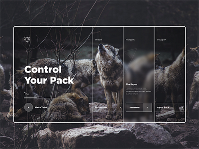 Web Design Concept