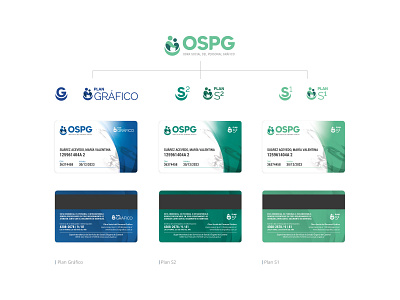 OSPG - Health insurance cards branding card clean company credencial family health health care identity insurance logo medicine plan system