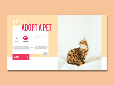 DailyUI 022: Search cat dailyui design desktop interface interface design pet search ui web