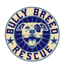 Bully! illustration logo vector