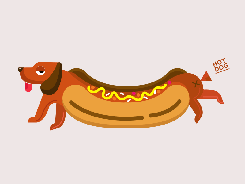 Hot Dog not? dog hotdog hotdogisnotdog sausage