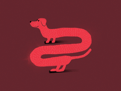 Long Dog dog illustration procreate