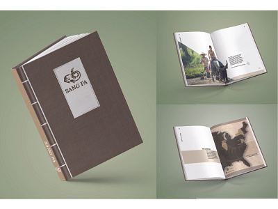 Sang Pa Investor Look Book book design illustration illustrator indesign publications