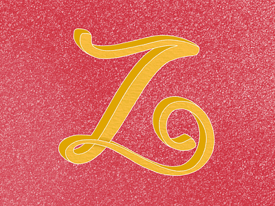 Letter Z lettering type typography