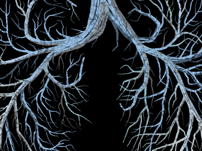 Mystery Project 53 branches dan kuhlken dkng nathan goldman tree vector veins wood