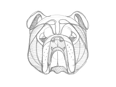 Mystery Project 70 bulldog dan kuhlken dkng dog english bulldog geometric nathan goldman pencil sketch