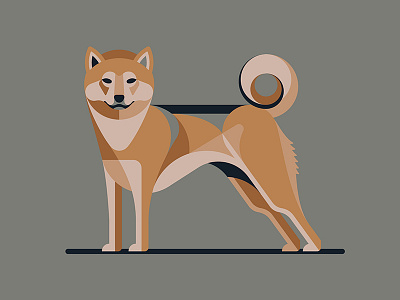 Illustration for Designers: Create Your Own Geometric Animal dan kuhlken dkng dkng studios dog geometric nathan goldman shiba inu