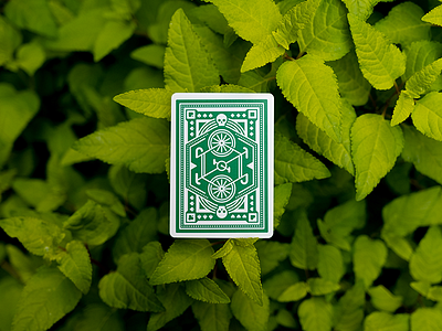 Green Wheel Playing Cards bike dan kuhlken dkng dkng studios green leaves nathan goldman plant playing cards