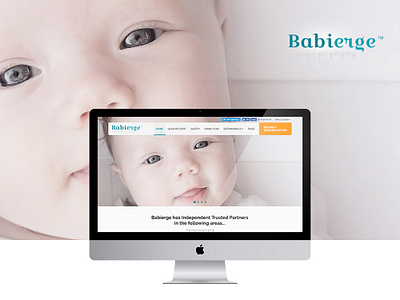 Babierge photoshop ui ux design website