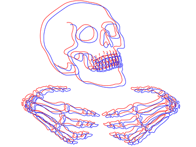 3D Skull