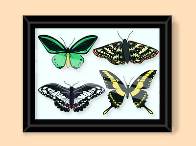 Frail // Inktober Day 8 adobe illustrator butterflies butterfly design framed illustration illustrator inktober logo pinned trapped vectober vector