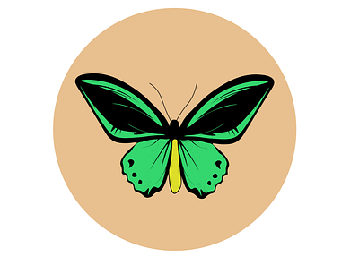Butterfly Series / One adobe illustrator butterflies butterfly design green illustration illustrator inktober 2019 logo vectober vector