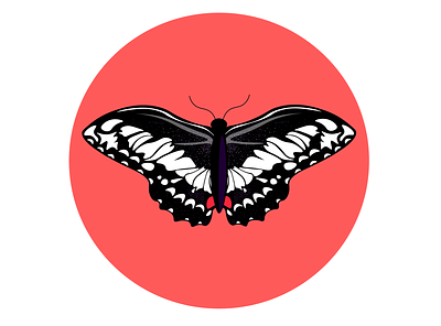 Butterfly Series // Three adobe illustrator branding butterflies butterfly design graphic design illustration illustrator inktober logo purple red series vector woman