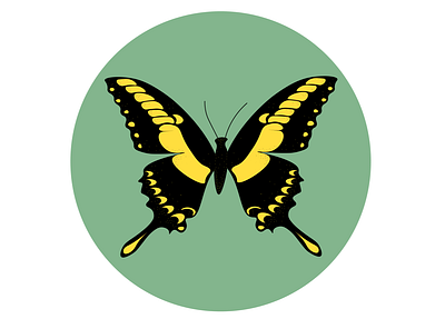 Butterfly Series // Four adobe illustrator branding butterflies butterfly design illustration illustrator inktober logo vectober vector vectors woman