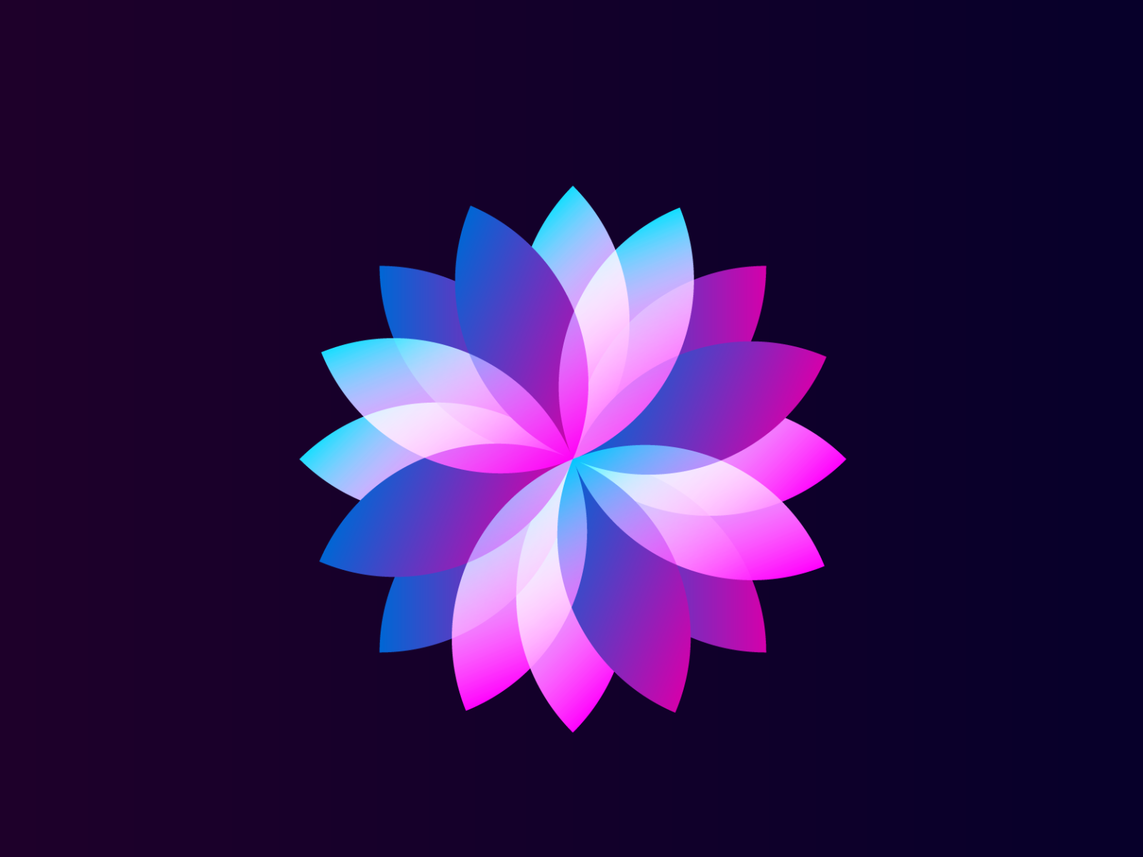 Dark Floral Illustration by akilvarman karunanidhi on Dribbble