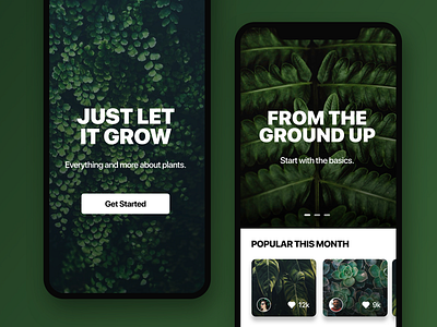 Let It Grow 001 app cards green ios iphone x nature plants ui