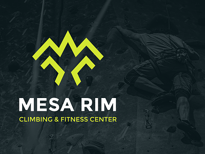 Mesa Rim Climbing Fitness Center Logo Design bird brand brand identity branding climbing design fitness icon identity logo monogram mountain strong typography visual identity