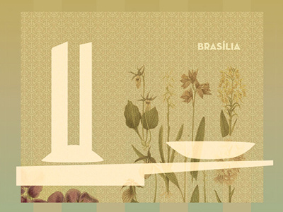 Brasília brasilia brazil congress monument tropical