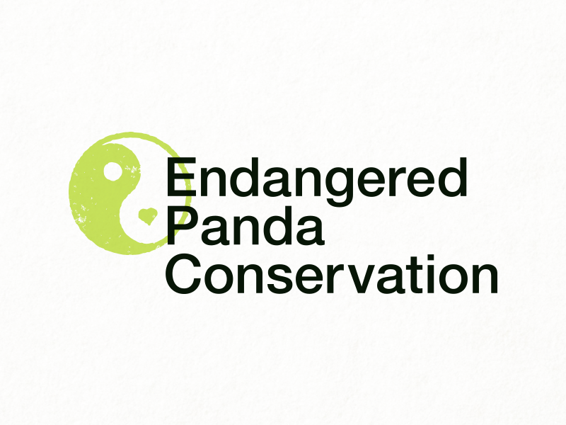 Panda Logo - Daily Logo Challenge #03 endangered panda conservation conservation logo panda challenge daily logo