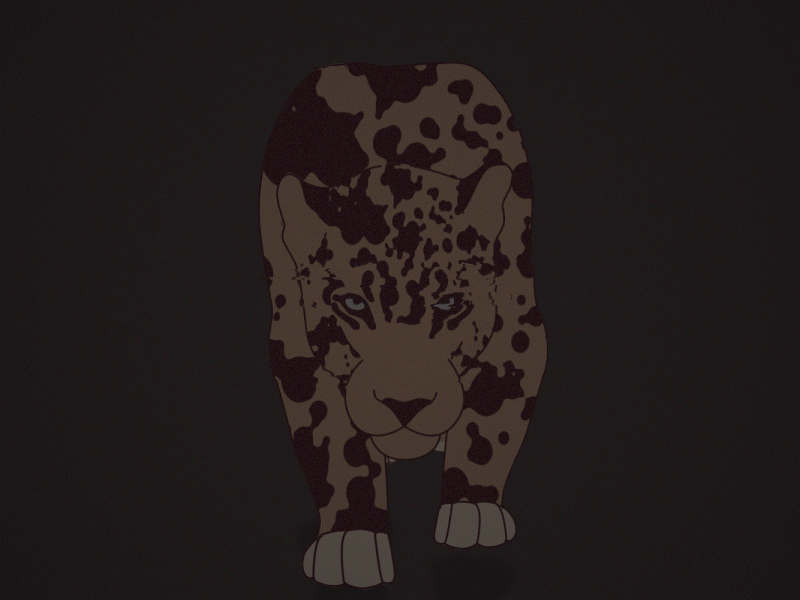 Leopard Walk Cycle aftereffects animation animation 2d big cat cat cel animation character design frame by frame glitch leopard walk walk cycle