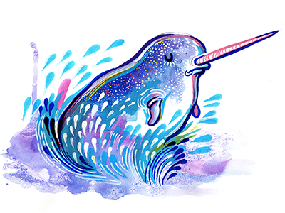 Narwhal